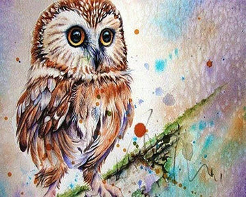 Owl Design
