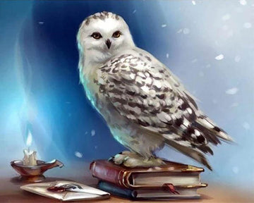 Owl and Book