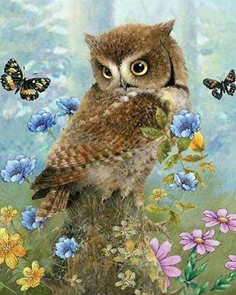 Owl and Butterflies