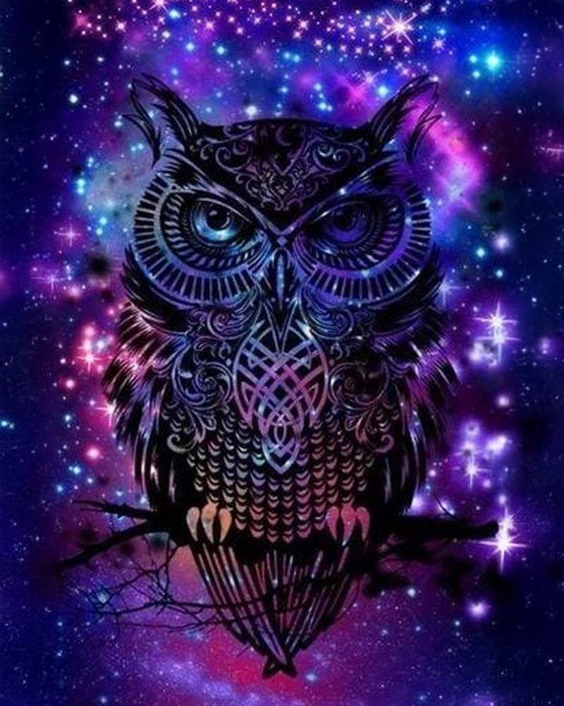 Owl in the Night