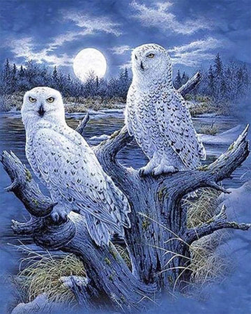 Owls and Moon