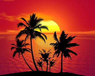 Palm Trees