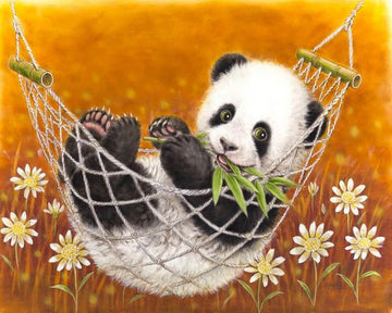 Panda in his hammock