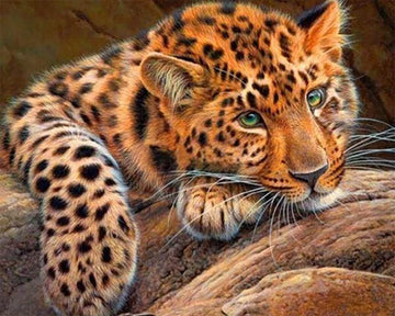 Panther