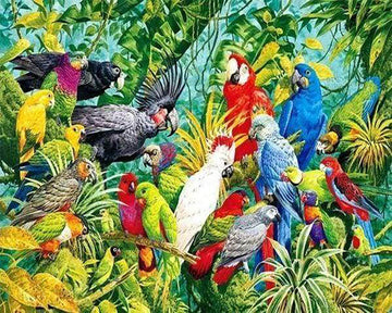 Parrots