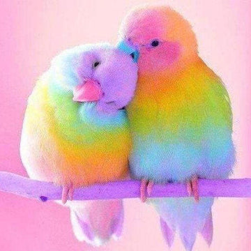 Parrots Couple