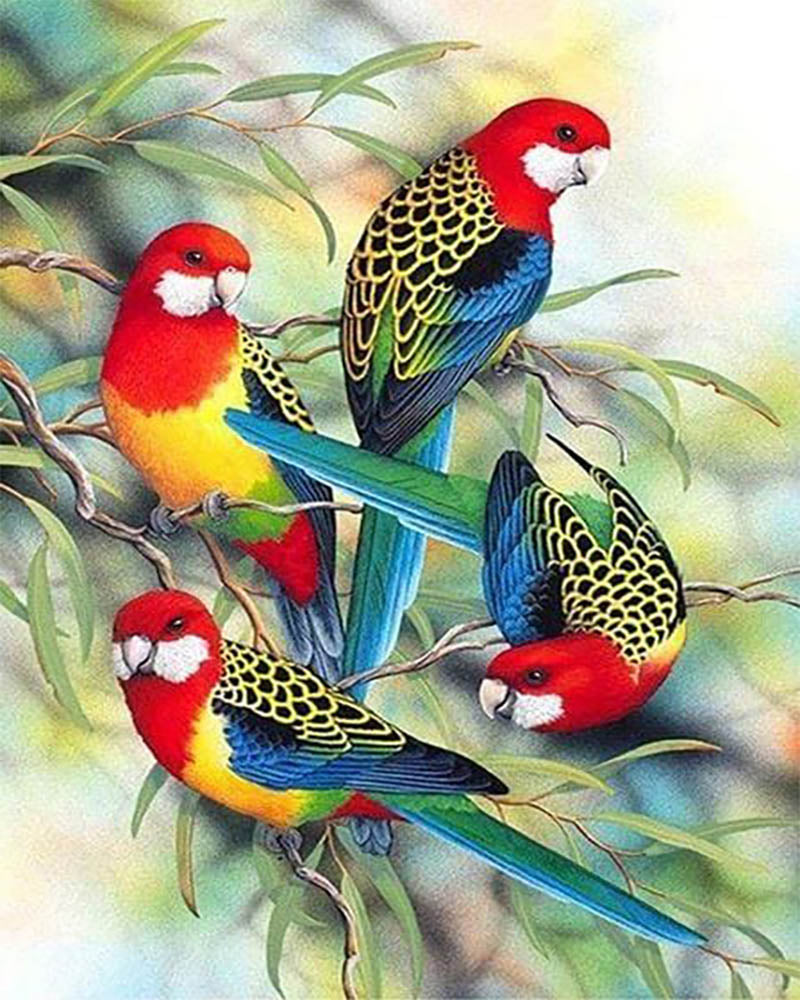 Parrots on Branch