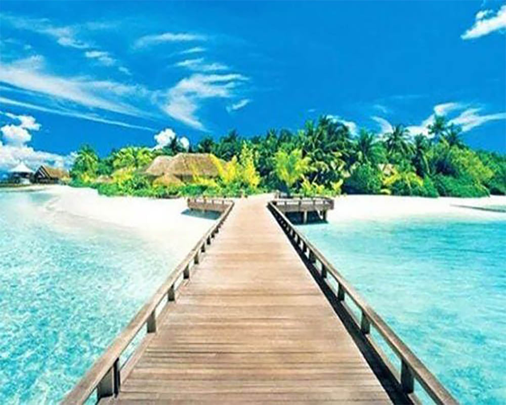 Path to Paradise