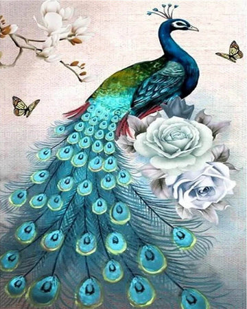 Peacock and bright colors