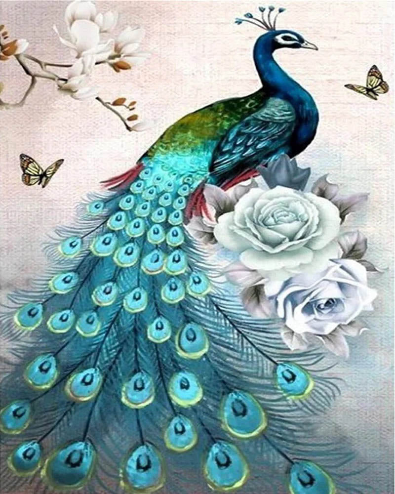 Peacock and bright colors