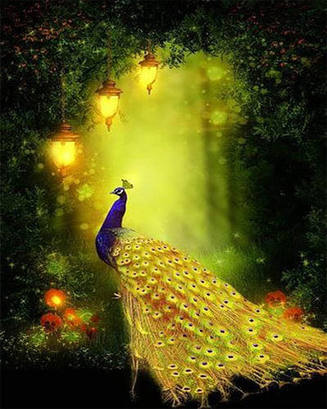 Peacock and light