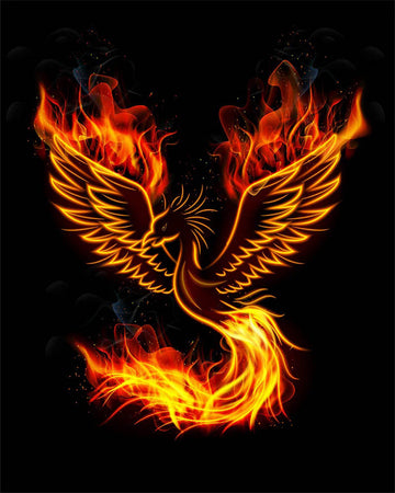 Phoenix Dragon
