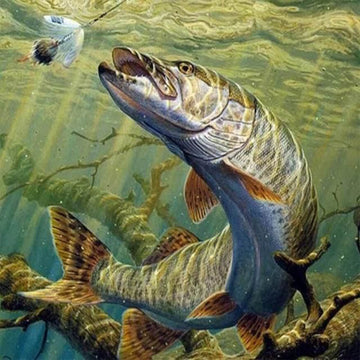 Pike Fish
