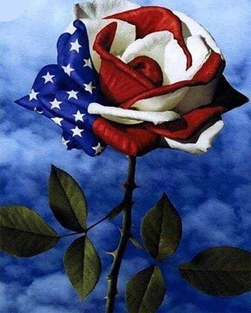 Pink American flag