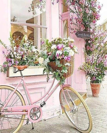Pink Bicycle
