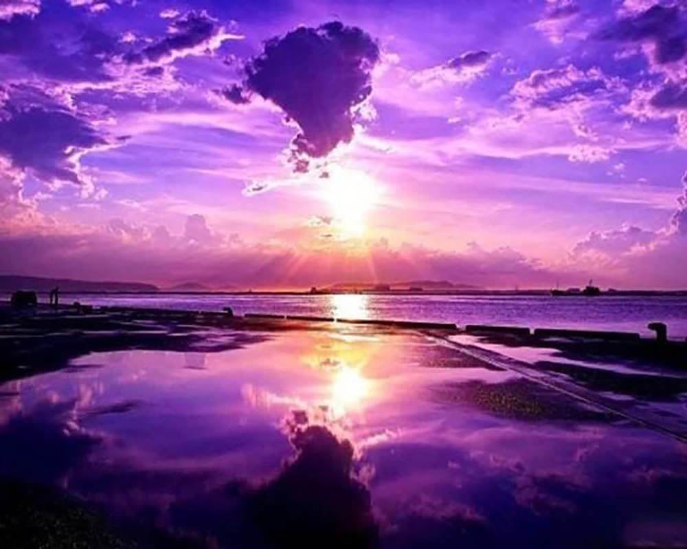 Pink Heaven