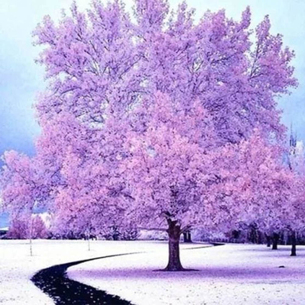 Pink Tree in the Snow