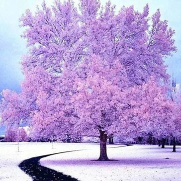 Pink Tree in the Snow