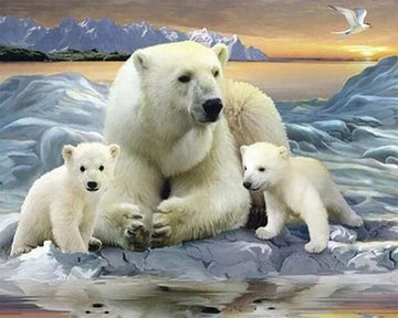 Polar Bears