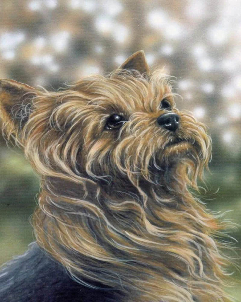 Portrait of a nice dog