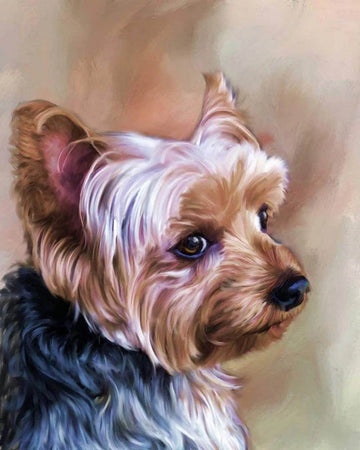 Portrait of a small dog
