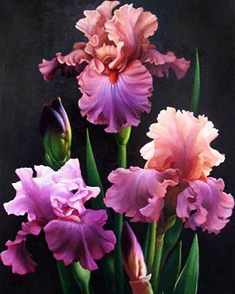 Pretty Flowers