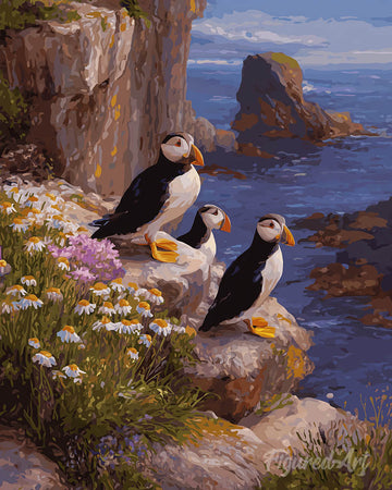 Puffin sunset cliffs