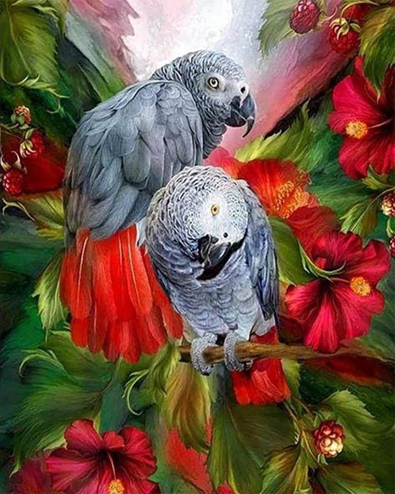 Red and Gray Parrots