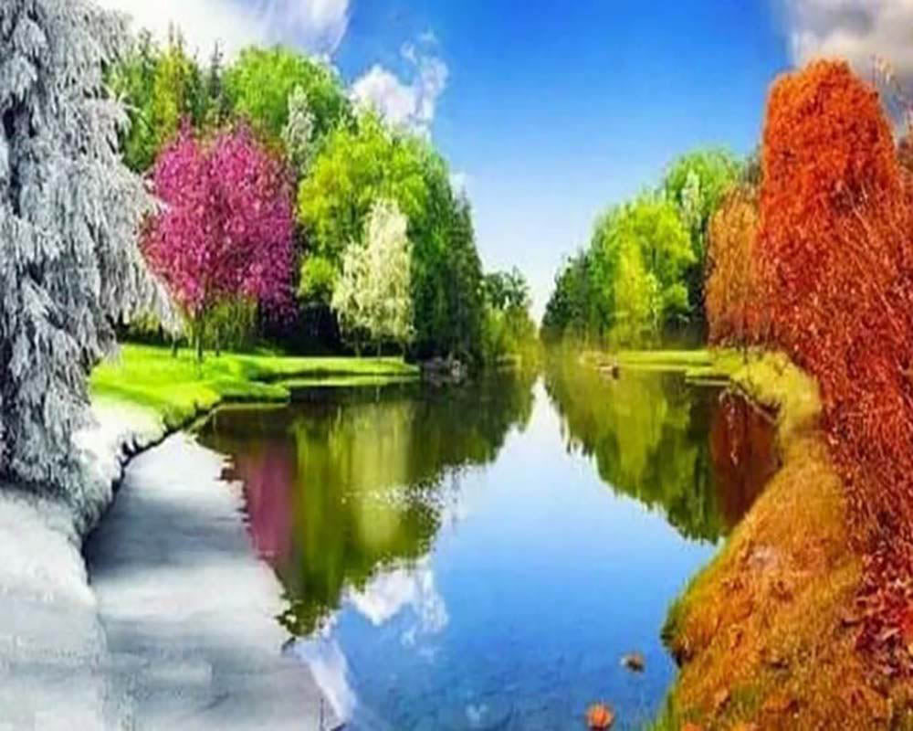 Reflection Lake in summer
