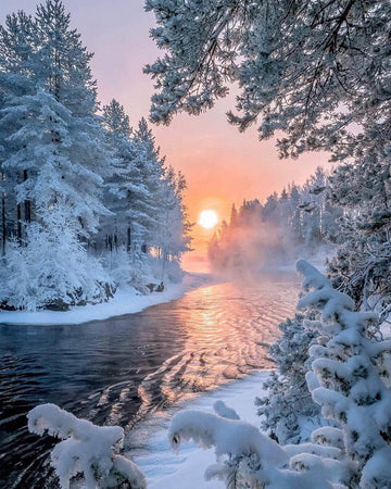 River in the middle of the forest in winter