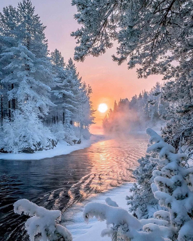 River in the middle of the forest in winter