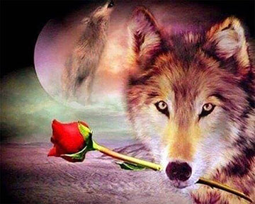 Romantic Wolf