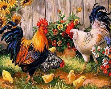 Roosters' farm