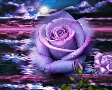 Rose and Sea