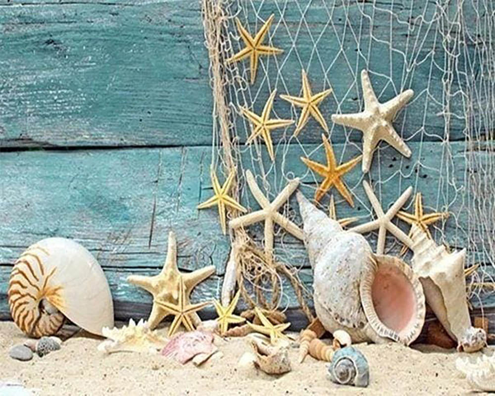 Sea Star and Fishing Net