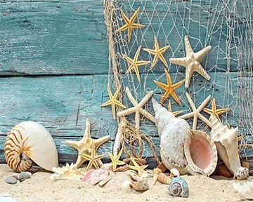 Sea Star and Fishing Net