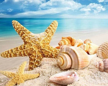 Seashells and Sea Star