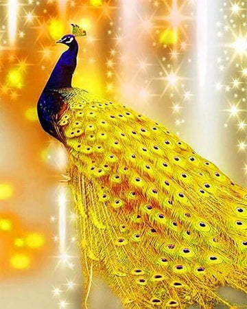 Shimmering Peacock