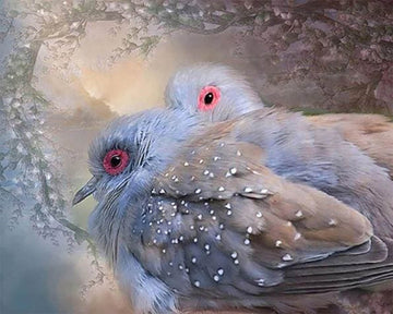 Shiny Birds