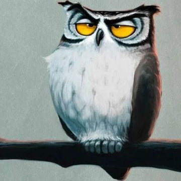 Sleepy Owl