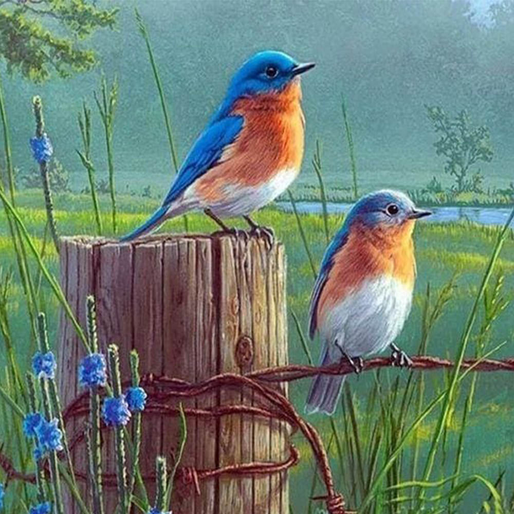 Small Birds