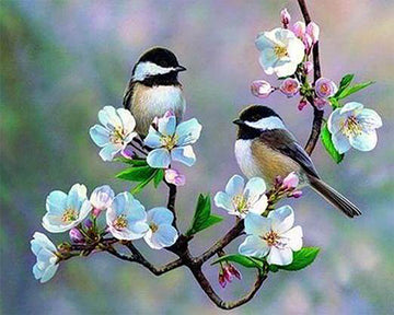 Small Birds and White Flowers