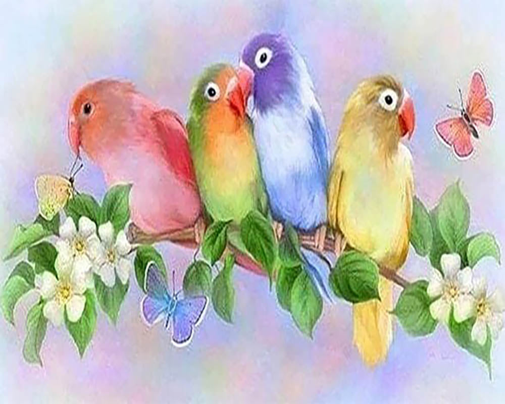 Small Parakeets