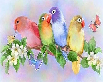 Small Parakeets