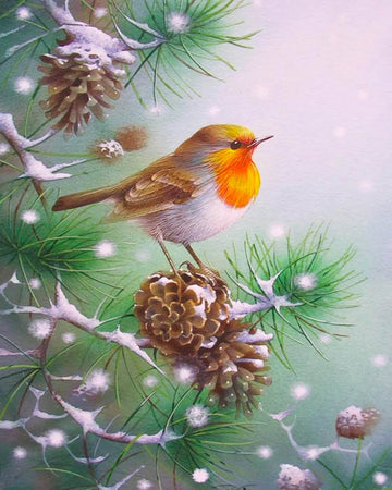 Small bird and Pine cones