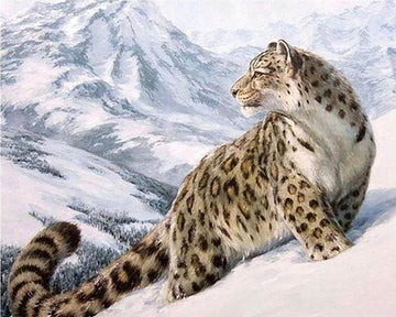 Snow Leopard