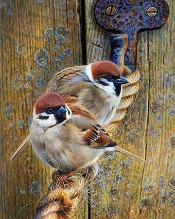 Sparrows on a Rope