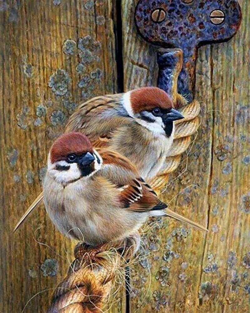 Sparrows on a Rope