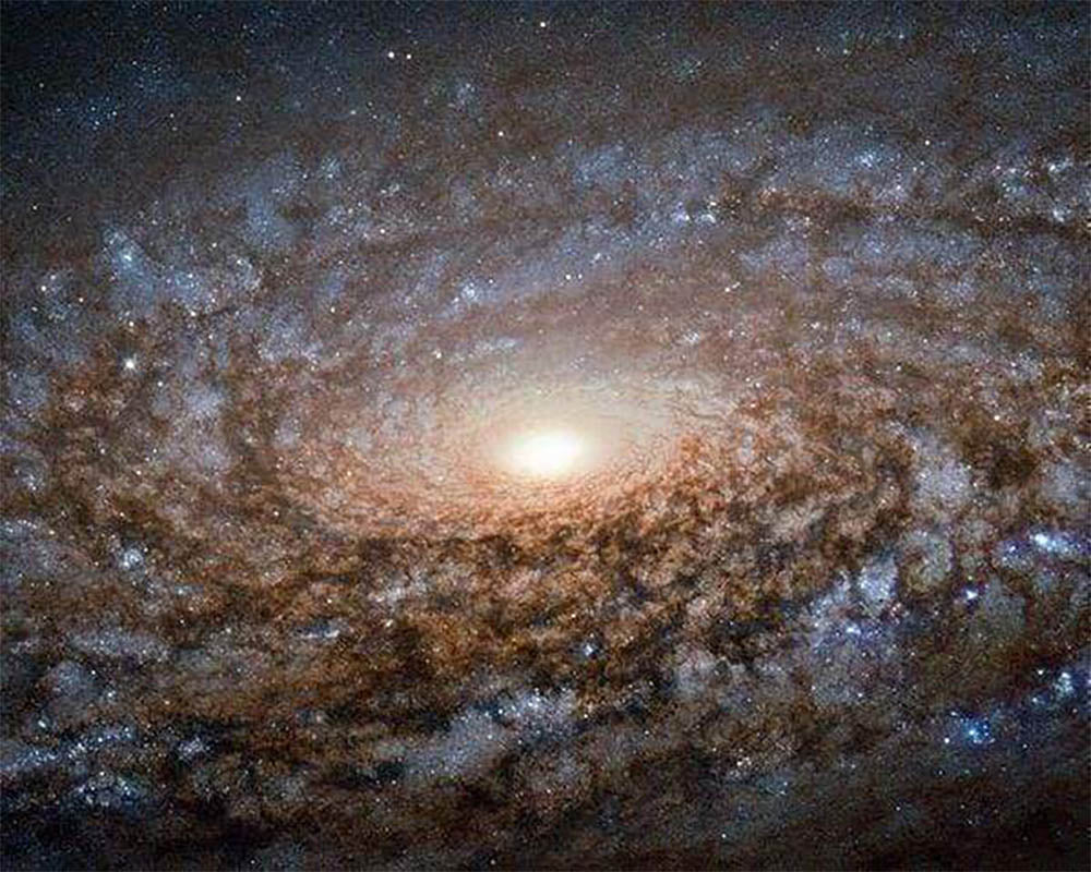 Spiral