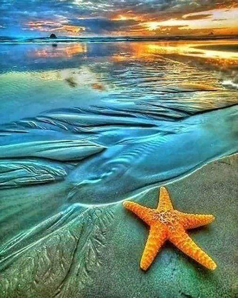 Starfish